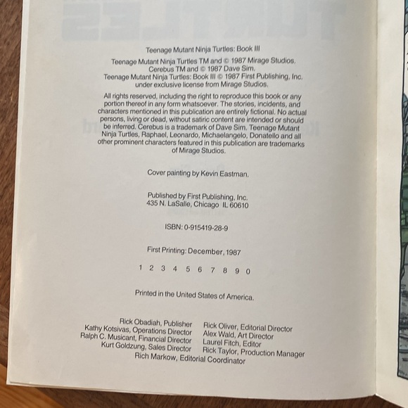 Teenage Mutant Ninja Turtles graphic novel book 3 vintage - Picture 3 of 4